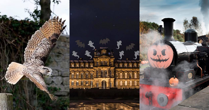 Halloween Half Term in Durham